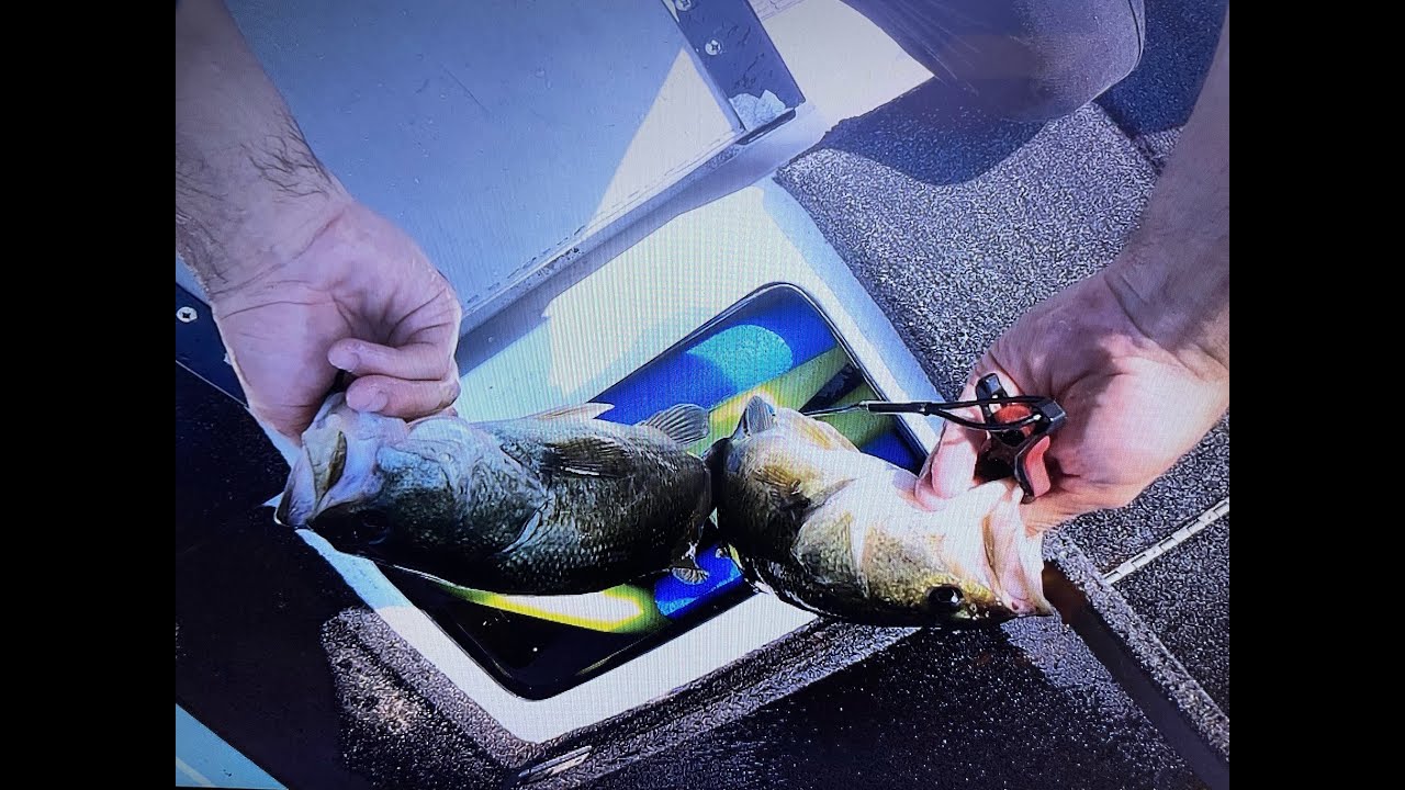 brrc stop #9 DOD LAKE 6/22/2024 bass fishing waynejrsdesigns