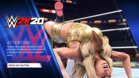 WWE 2K20 crash