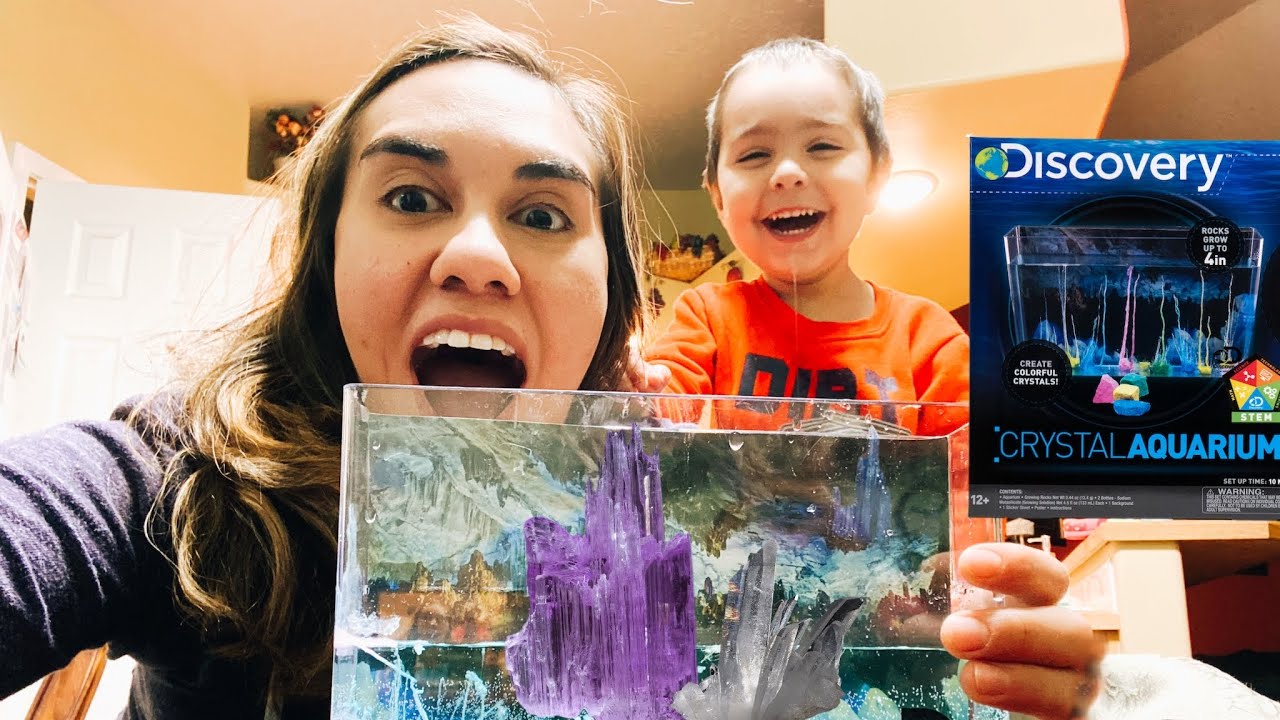 Growing our own crystal aquarium discovery kids kit YouTube