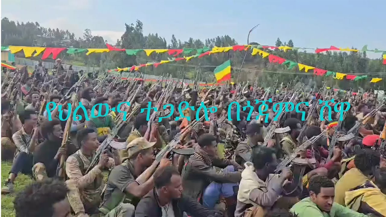 Anchor Media የህልውና ተጋድሎ በጎጃምና ሸዋ
