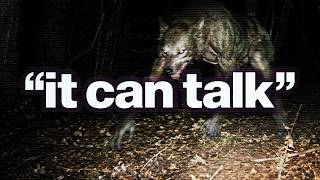 Dogmen Are Hunting and Stalking Humans in America...