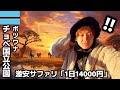 【#55】🇧🇼ボツワナ/チョベ国立公園 「"世界一ゾウが集まる聖域"1日14000円の激安サファリでレア動物が出現!!」【アフリカ縦断8カ国目】