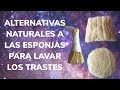 ALTERNATIVAS NATURALES A LAS ESPONJAS PARA LAVAR LOS TRASTES 🧽