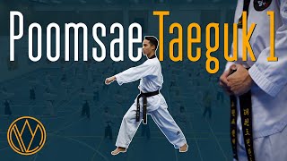 POOMSAE TAEGUK 1 (Il Jang) with Over 60 Taekwondo Practitioners | Lohja, Finland