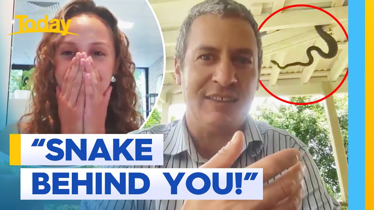 Snake photobombs live podcast interview | Today Show Australia - YouTube
