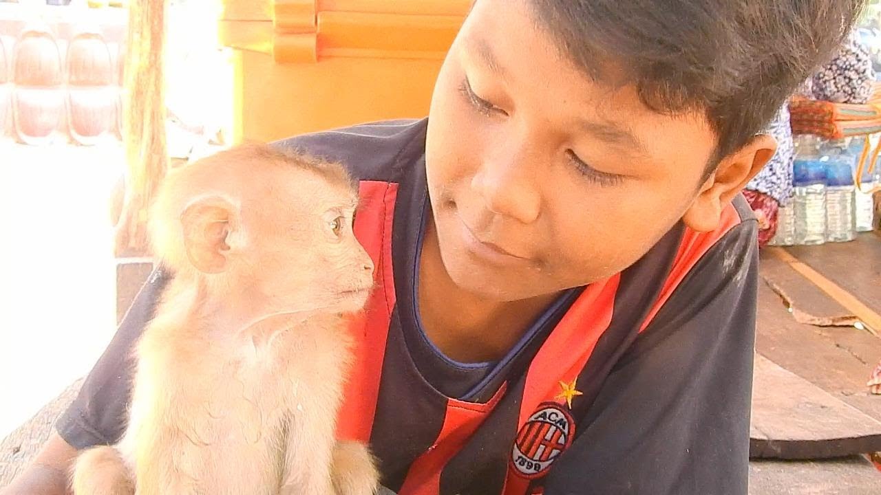 Million happy to see Axel have best friend, monkey Axel playing with kid | Monkey Axel, Axel monkey