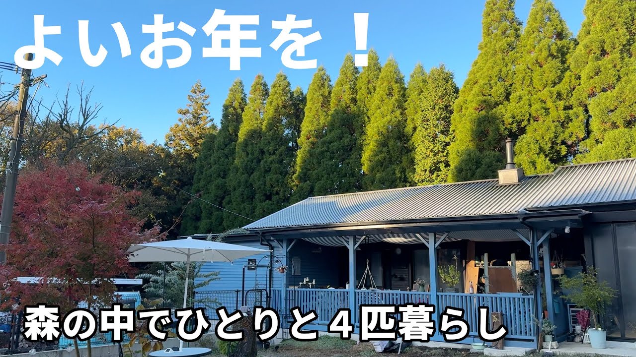 ［よいお年を］チャンネル見てくださってありがとうございました❣️［森の中でひとりと犬猫暮らし］