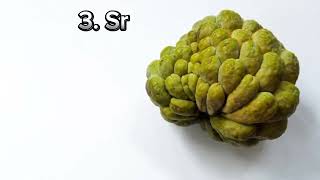 Jenis-jenis Buah Srikaya