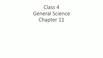 Class 4  General Science Chapter 11