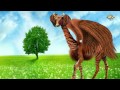 Имам Махди скоро проявится !!! Признаки конца света !!!