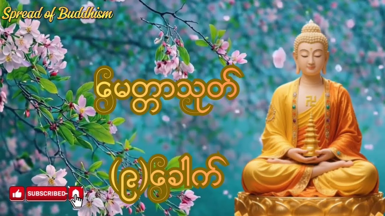 🌹မေတ္တာသုတ် (၉)ခေါက် ပူဇော်ထားပါသည် #တရားတော်များ #မေတ္တာသုတ် 