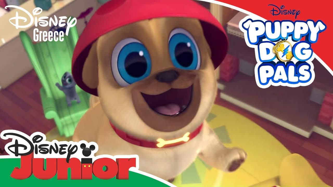 Introducing Rolly Κουταβοφιλαράκια | Γνωρίζοντας τον Ρόλι | Introducing Rolly - YouTube