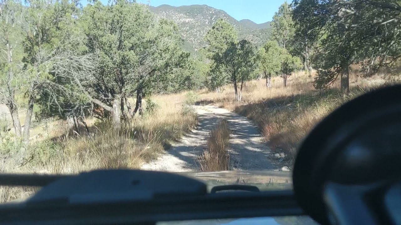 Sawmill Canyon Nov 2021