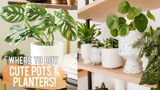 Where to find unique and cheap pots and planters for your houseplants! (+ a special announcement)