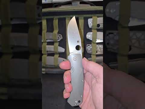 Spyderco Slysz Bowie mimeo       