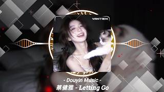 蔡健雅 - Letting Go【動態歌詞 /  Lyrics】『I'm letting go 我终于舍得为你放开手，因为爱你爱到我心痛。』