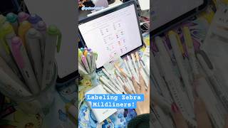 Why I bought new Zebra Mildliners!🖌️ #artist #bulletjournal #btsarmy #stationery