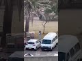 Bystander disarms active shooter at Bondi Beach in Sydney