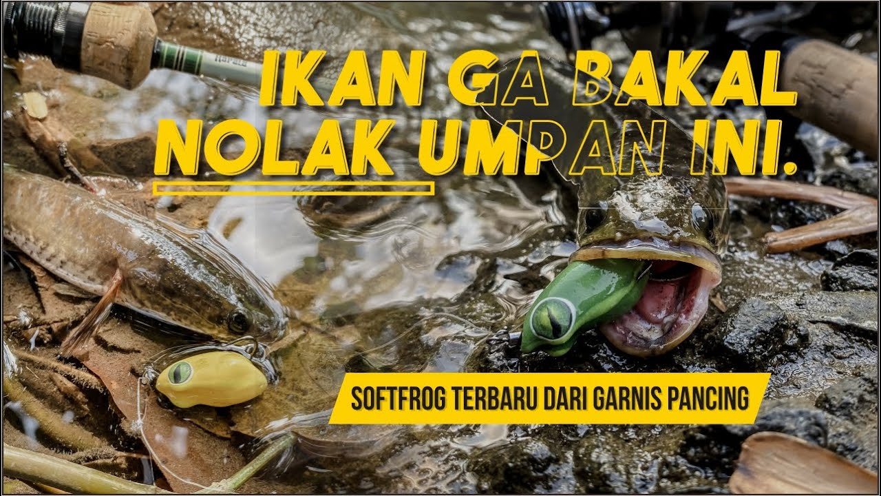 UMPAN TERBARU DARI GARNIS PANCING 😍 CASTING GABUS DI SUNGAI KECIL SEKALI LEMPAR LANGSUNG STRIKE‼️💥