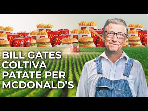 Perché Bill Gates investe in terreni agricoli