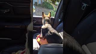 Korbel's first truck ride with window down