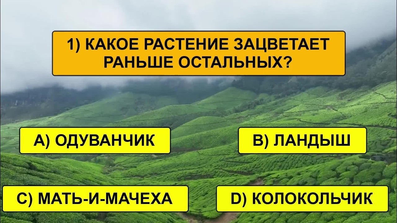 ТОЛЬКО ОДИН из 1000 правильно ответит хотя бы на 15 вопросов! Тест на эрудицию