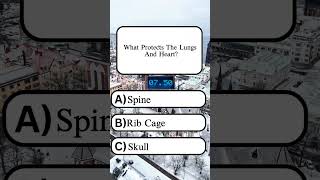 What Protects the Lungs and Heart? #sciencequiz #healthfacts #unitedstates #Shorts