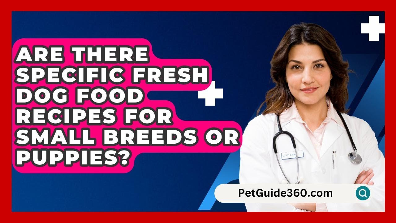 Are There Specific Fresh Dog Food Recipes for Small Breeds or Puppies? - PetGuide360.com