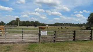 4020 COWHOUSE RD