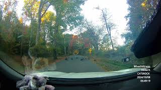 Turkey Crossing