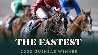 A Morning With Kameko - The Fastest Qipco 2000 Guineas Winner Ever