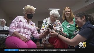 104-Year-Old Connecticut Woman Gets Wish To Hold Penguin