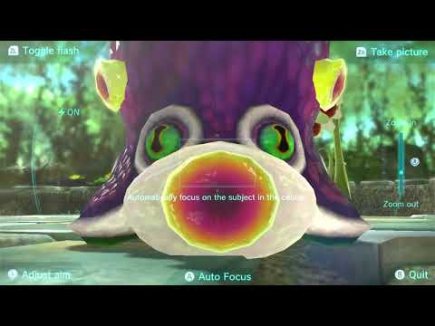 Pikmin Creature Documentary 21: Waddlepuss Behavior Research. (READ DISC)