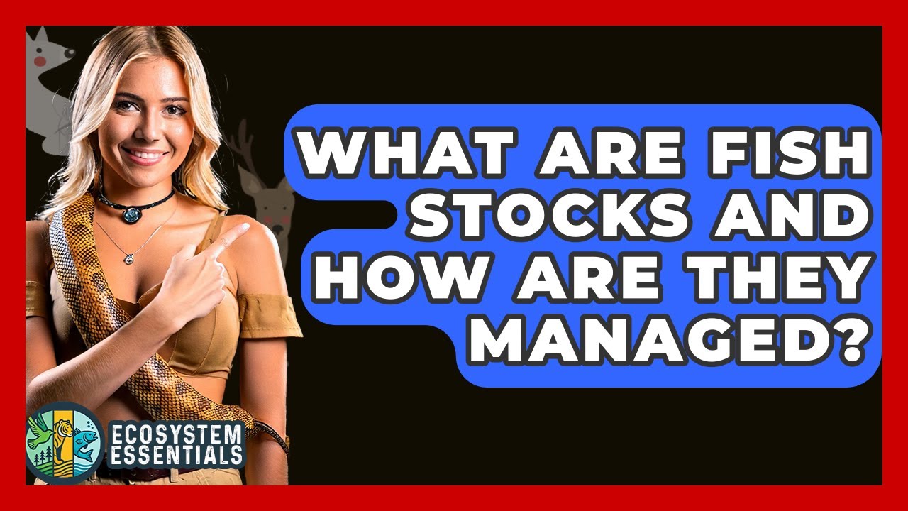 What Are Fish Stocks And How Are They Managed? - Ecosystem Essentials