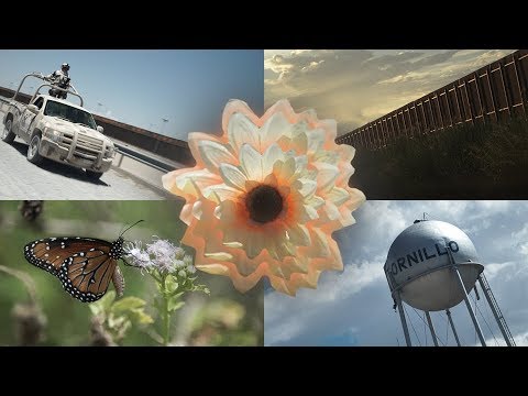 Oh Sees - Captain Loosely (official video)