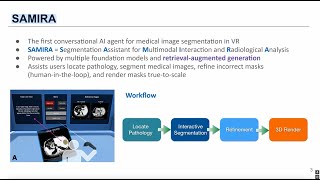 SAMIRA:Towards user-centered interactive medical image segmentation in VR with an assistive AI agent