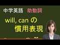 中学英語:will, can の慣用表現