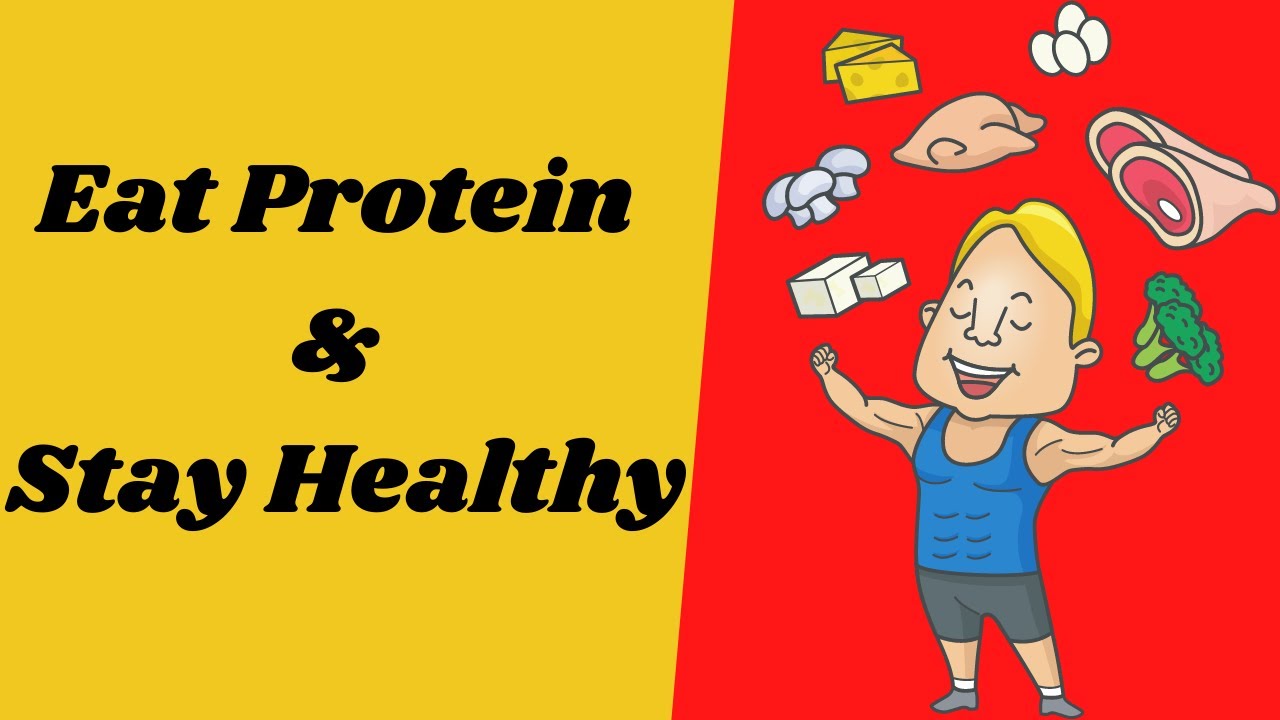 How Much Protein Should I Eat to Stay Fit and Healthy? YouTube