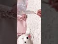 またまた音ズレしてるけど痛バです カラフルピーチ からぴち のあちゃん 痛バ