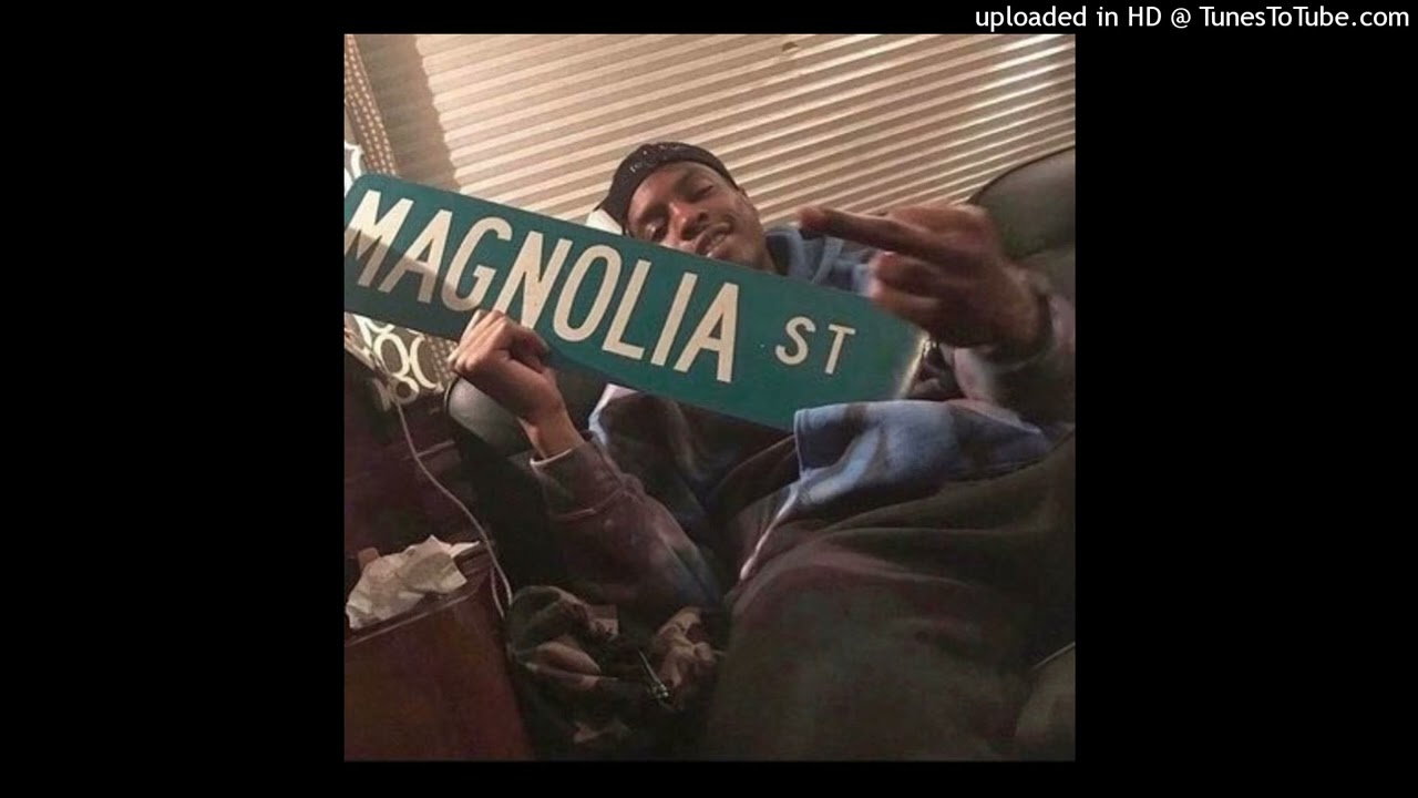 Playboi Carti - Magnolia (Outro Loop)