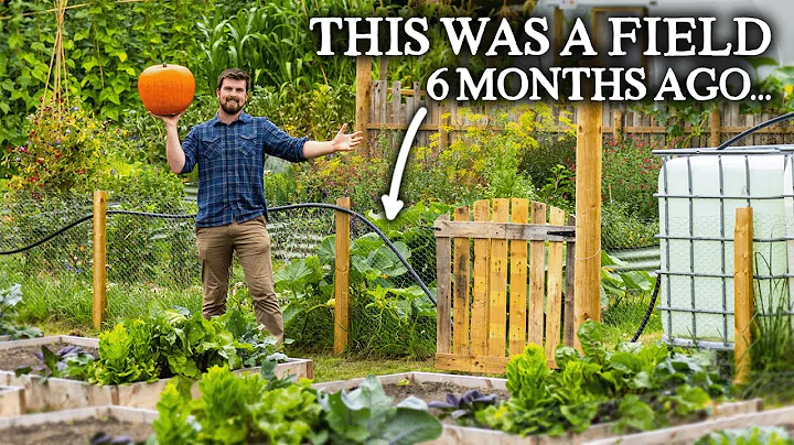 HUGE No Dig Vegetable Gardening Project (Only 6 Mo...