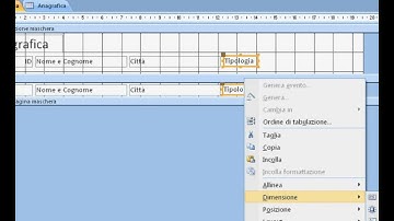 Access 2007 11 in italiano - Casella combinata per inserire i dati in una maschera