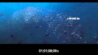 Creation Jon Amiel 2009, Main Le Re-Score