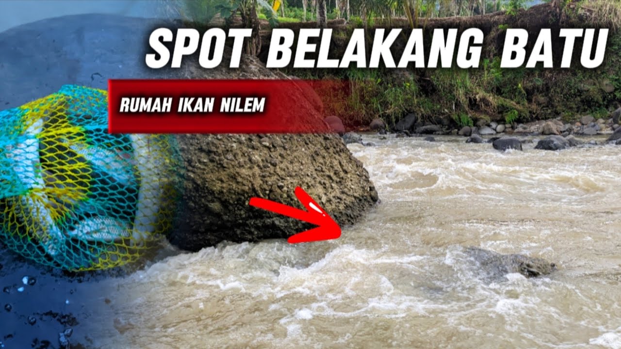 SPOT BELAKANG BATU‼️RUMAH NILEM BABON😮