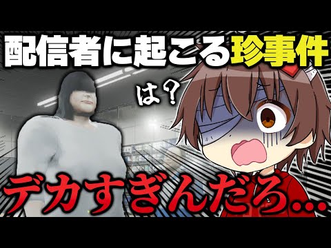 🔴【配信切り抜き】ネトストと不審者だらけでツッコミ要素満載のホラゲーで絶叫しまくったｗｗｗ #パラソーシャル #ホラー