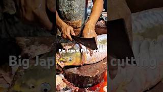 Big Japani Cutting #japani #japanifish #fishcutting #fish