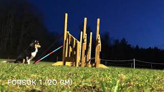 Basic Grid & Set Point 1.2