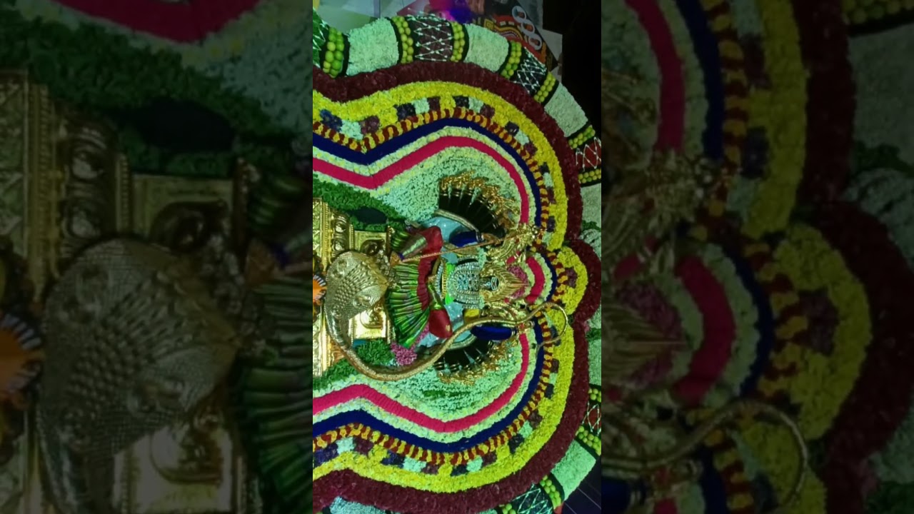 ✨🙏Sri Gangai amman 50th years festival-nellichetty street walajapet #amman#walajapet #walaja#ranipet