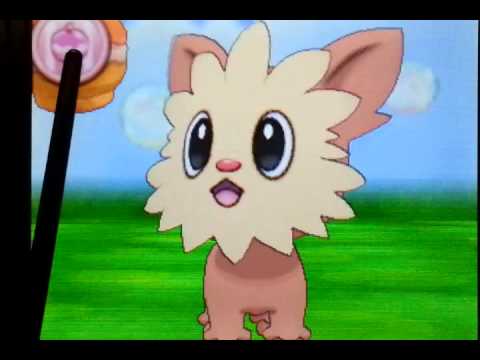 Pokémon Amie 506 ...