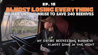 We Had Until Sunrise to Save 240 Beehives